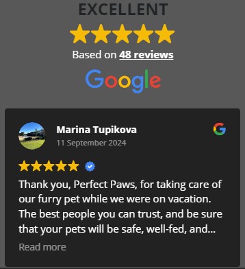 Pet Sitting reviews Google